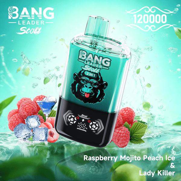 Turquoise Bang Leader two-in-one bottle with a cartoon monkey logo, tilted diagonally, surrounded by raspberries, ice cubes and mint leaves against a teal background, with the flavors Raspberry Mojito Peach Ice & Lady Killer and a decorative 120000 motif in the top-right.