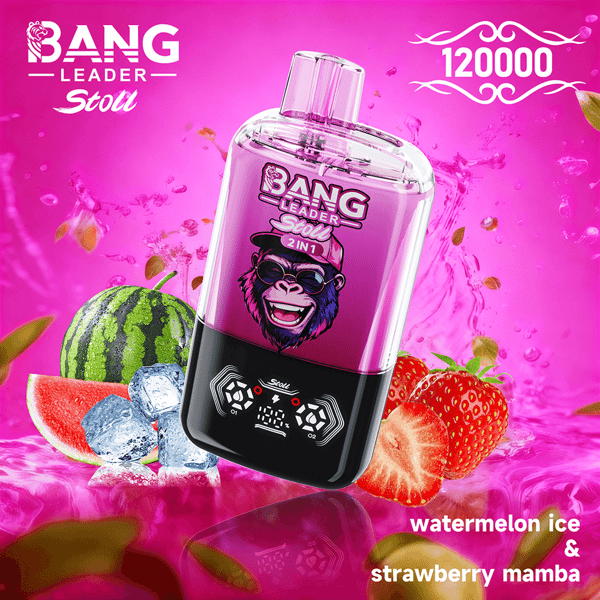 Pink, futuristic bottle with a black bottom and digital control panel tilts on a bright pink background, surrounded by ice cubes, a watermelon slice, and a strawberry; branding and flavor text include Bang Leader Stoll and watermelon ice & strawberry mamba.