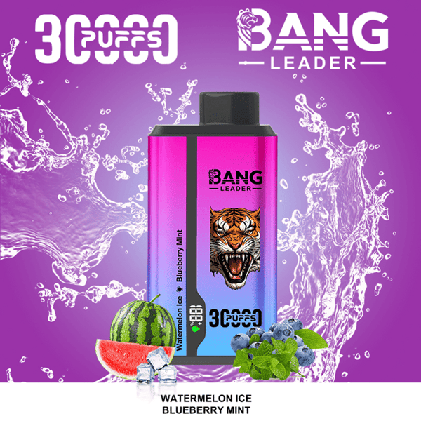 Disposable Bang Leader vape device with a pink-to-blue gradient and a roaring tiger logo, set against a purple splash background, with watermelon, mint leaves, blueberries, and ice arranged around it to indicate Watermelon Ice and Blueberry Mint flavors.
