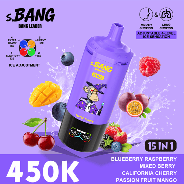 s.BANG bouteille 15 en 1 en violet avec un chien de dessin animé portant un chapeau, entouré de fruits comme des myrtilles, des cerises, des mangues, des framboises et un fond éclaboussé ; l’étiquette indique "BLUEBERRY RASPBERRY" et le prix/stock "450K".