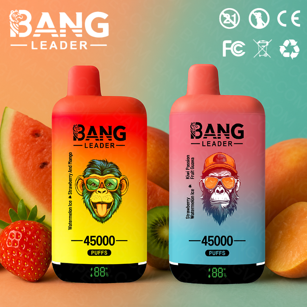 Bang Leader 45000 Puffs 2 en 1 - Vape Double Saveur